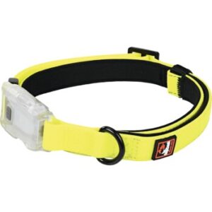 Hundebedarf Dogs Creek Leuchthalsband Polar Light S