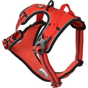 Halsbänder & Geschirre Dogs Creek Geschirr Pathfinder rot M