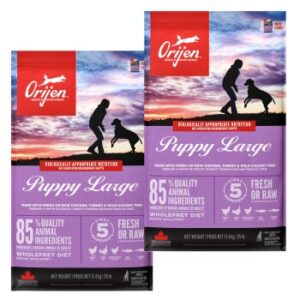 Hundefutter Orijen Puppy Large Breed 2×11.4 kg