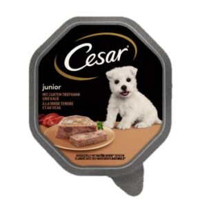 Hundefutter Cesar Junior 14x150g