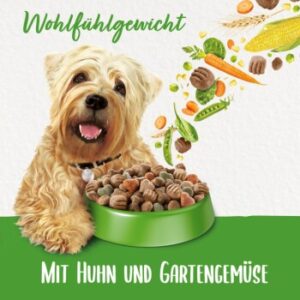 Hundefutter Beneful Purina Wohlfühlgewicht mit Huhn und Gartengemüse 2×12 kg