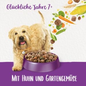 Hundefutter Beneful Purina Glückliche Jahre 7+ mit Huhn und Gartengemüse 2×12 kg