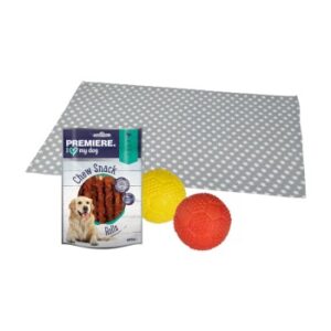 Hundefutter FIT+FUN Set Training – Snack + Ball + Liegedecke