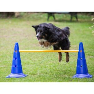 Hundespielzeug Procyon Agility Stange 100cm