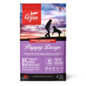 Hundefutter Orijen Puppy Large Breed 11.4 kg