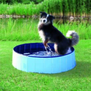 Hundespielzeug Trixie Hundepool 1.6 m