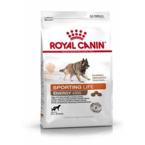 Hundefutter ROYAL CANIN ENERGY 4300 (TRAIL) 15 kg