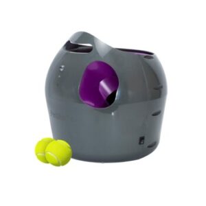 Hundespielzeug PetSafe Automatischer Ballwerfer